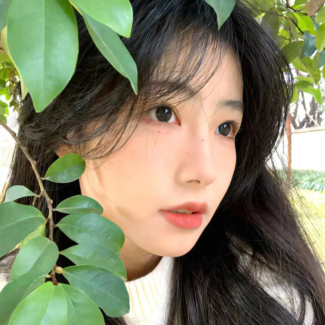 诱惑的食谱