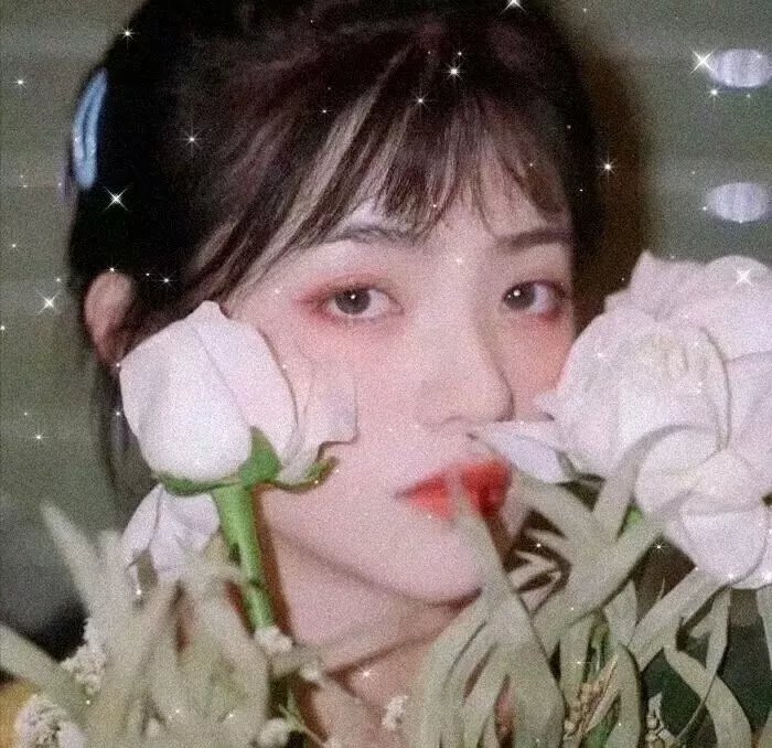 我不是王毛